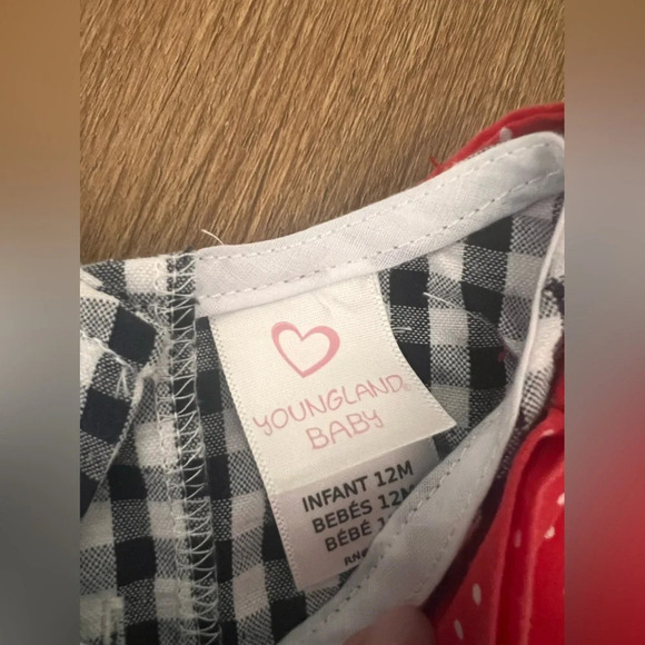 Youngland Baby Girl Party & Summer Ladybug Flower Dress Size 12m Red Black Plaid - Picture 2 of 4